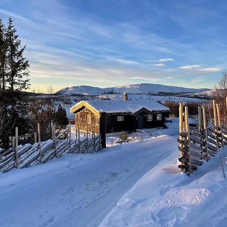 Chalet Comfortable Mountain At Rondane Ringebu