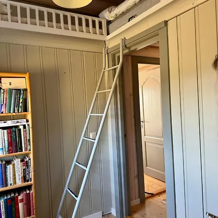 Comfortable Mountain At Rondane Chalet Ringebu