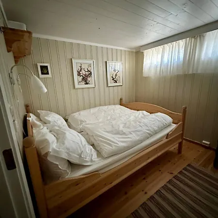 Comfortable Mountain At Rondane *