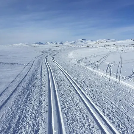 Comfortable Mountain At Rondane Chalet